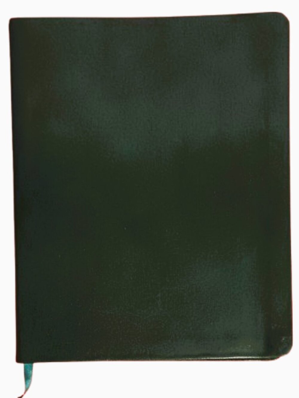 The Daily Light Journal Morning Readings Vintage NKJV 1999 by Anne Graham Lotz